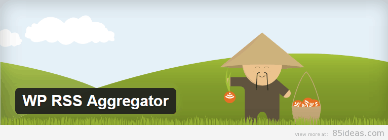 WP-RSS-Aggregator-Plugin
