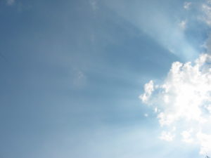 saas e-ticaret platformu