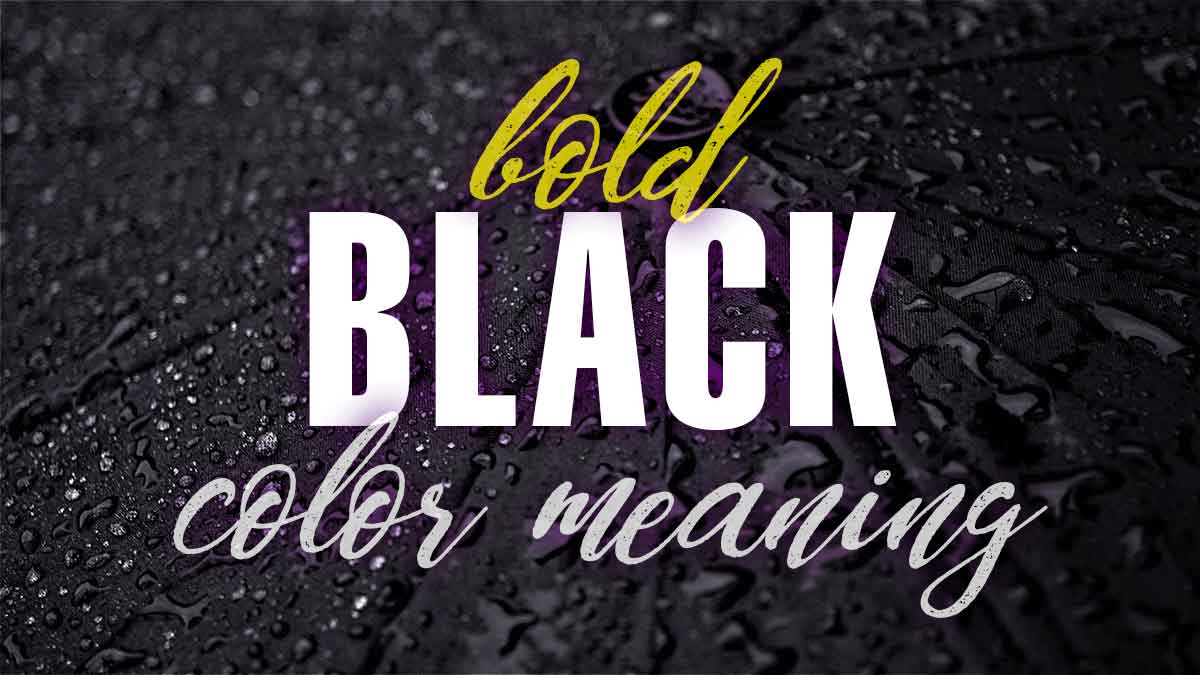 Nahaufnahme des schwarzen Regenschirms mit Regentropfen sagt mutige schwarze Farbbedeutung.