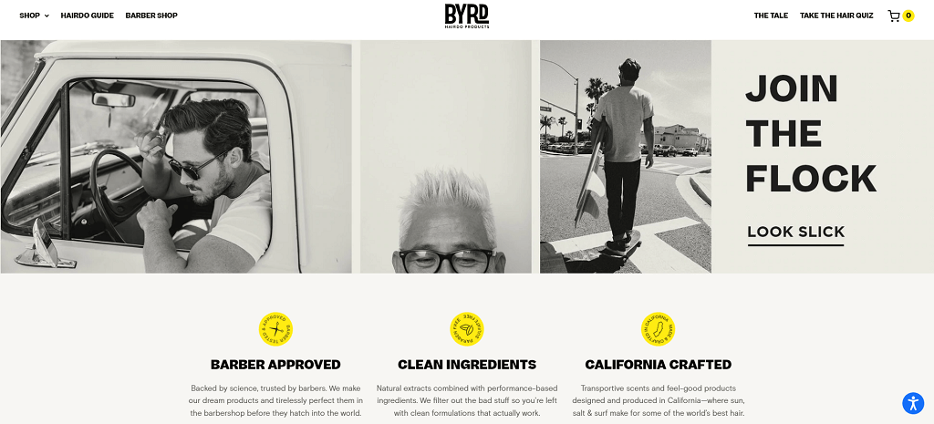 Strona internetowa BYRD