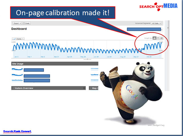 on-page-site-audit-panda on page site audit panda success