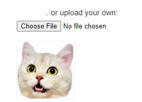 Bild auf der Website hochladen