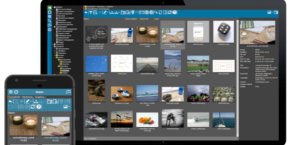 Dijital varlık yönetimi yazılımını gösteren bir resim