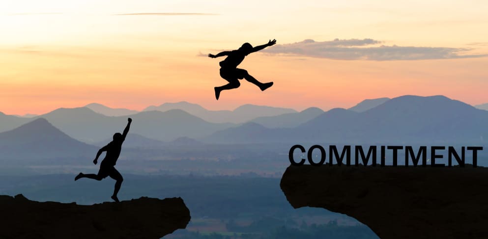 致力於打造權威網站