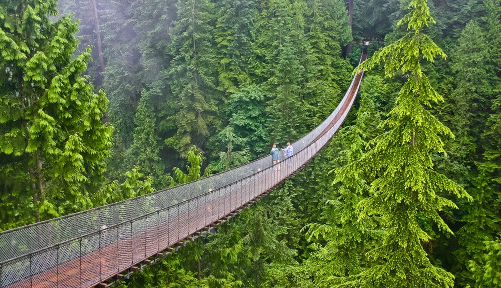 Pont suspendu de Capilano à North Vancouver BC,