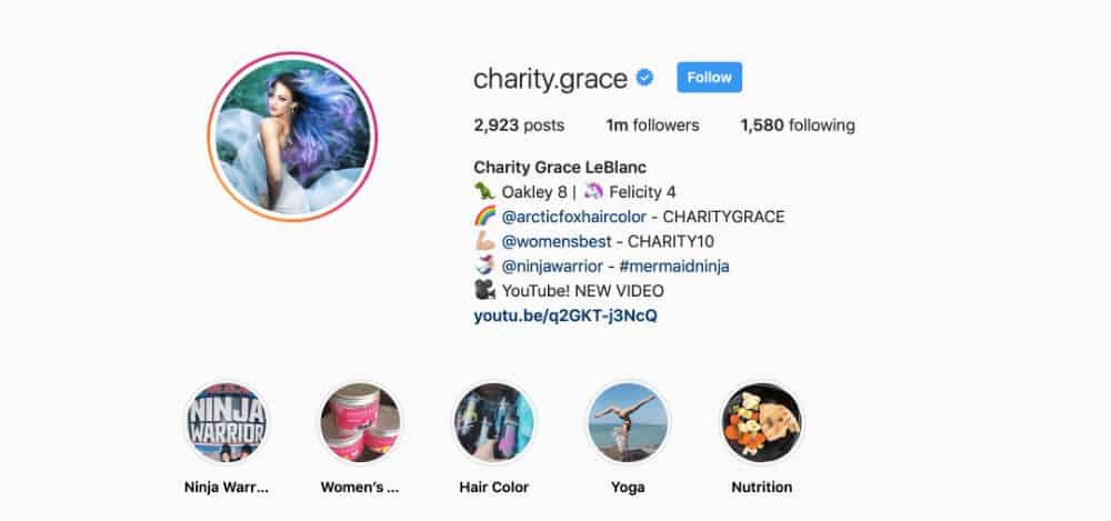 Instagram 個人資料示例