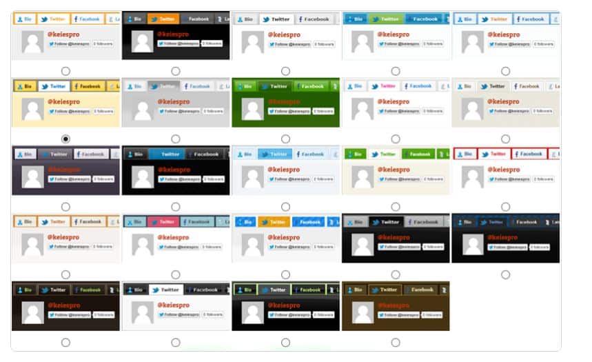 Attractive Author Box 插件中的 24 種皮膚選項