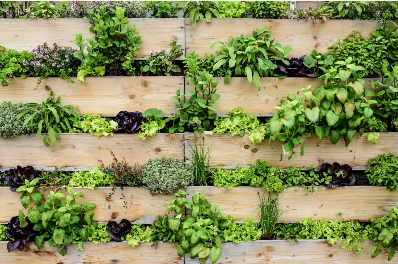 Qu'est-ce qu'un jardin vertical