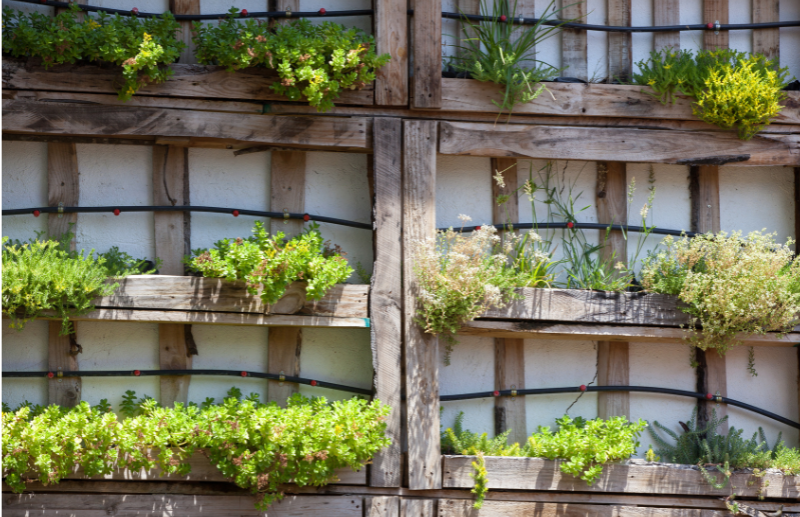 Cliquez et développez