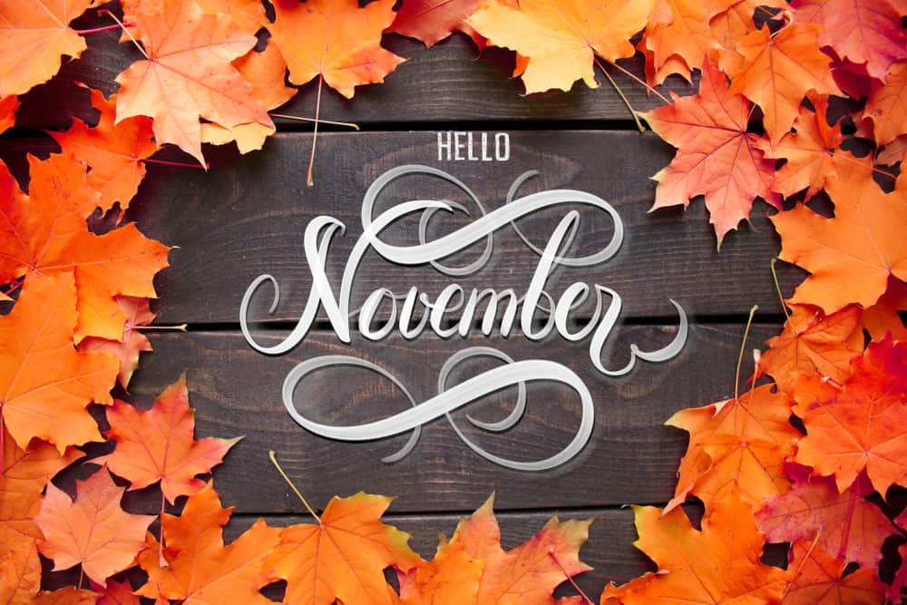 Fat Stacks Einkommensbericht November