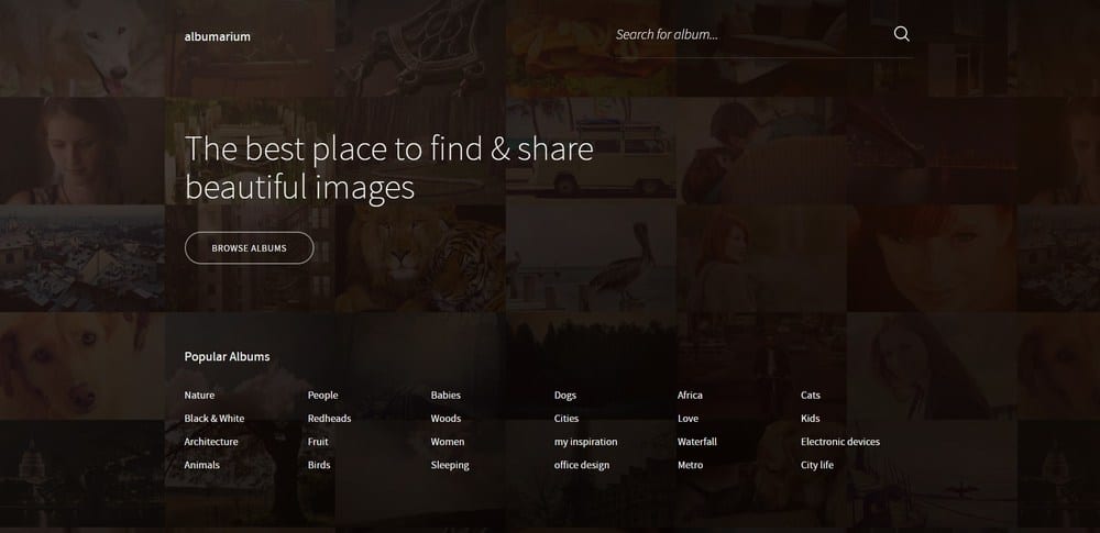 الصفحة الرئيسية ألبوماريوم