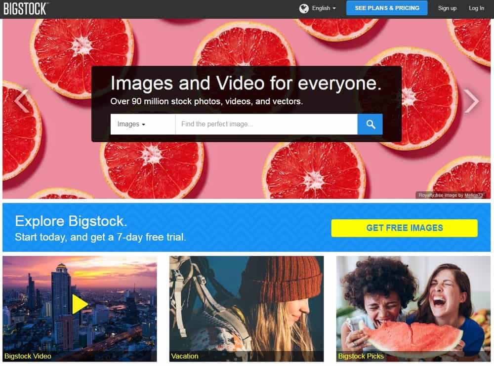 الصفحة الرئيسية لشركة Bigstock