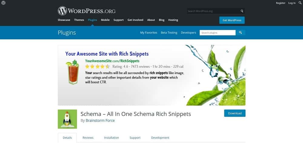 ภาพหน้าจอของปลั๊กอินรีวิวผลิตภัณฑ์ Schema สำหรับหน้าแรกของสคีมาและการให้คะแนน