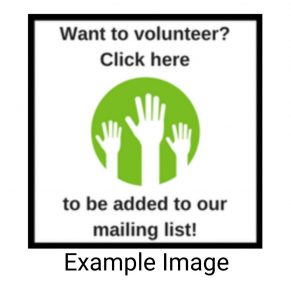 Первые несколько результатов при поиске сантехников Чикаго на Yelp