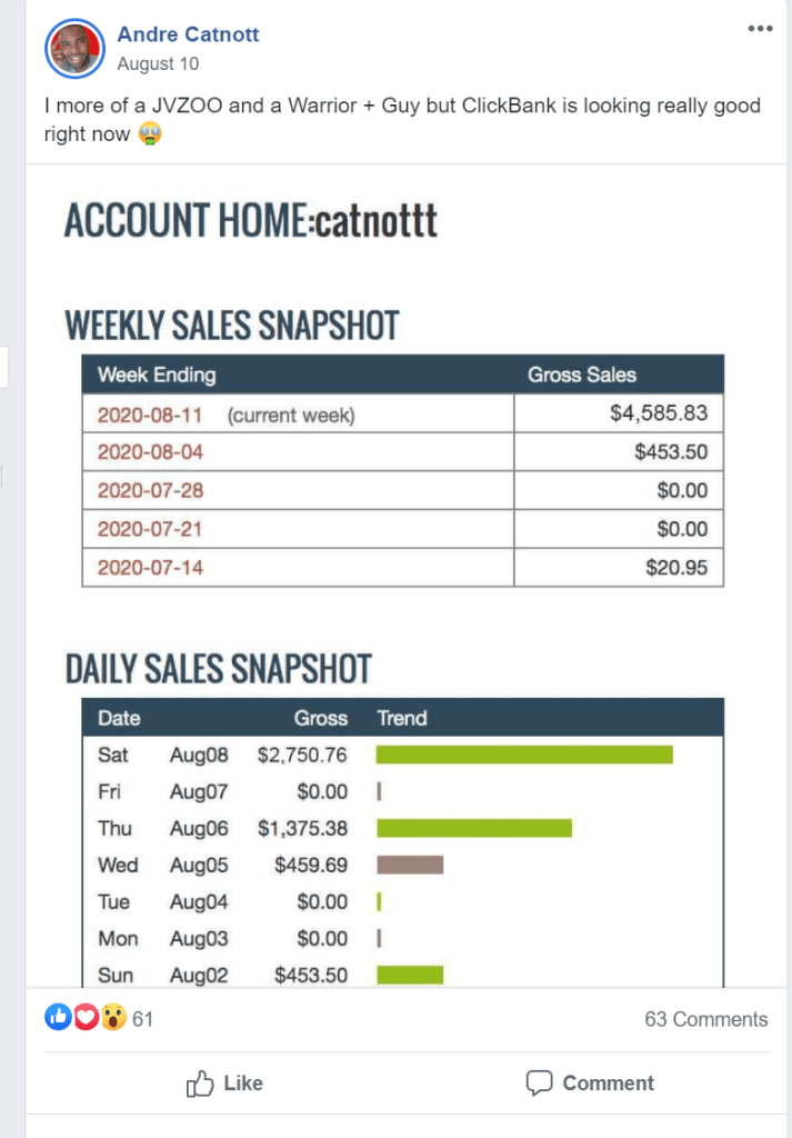 12-minütige Überprüfung des Affiliate-Systems: Verdienen Sie 465 $/Verkauf Ist es wahr oder Betrug?