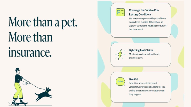 フィーゴペット保険