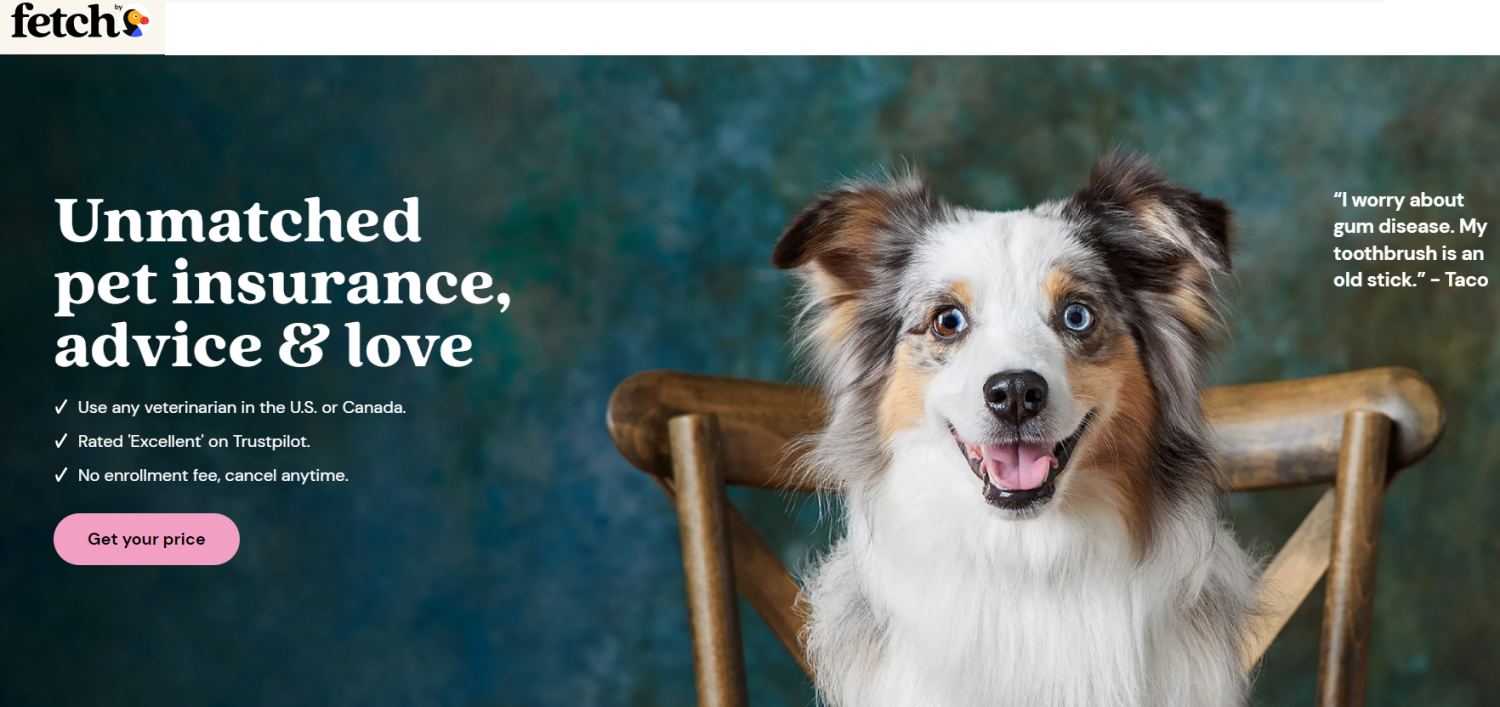 フェッチペット