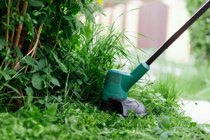 blog de gramado e jardim