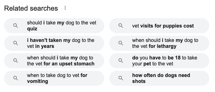 capture d'écran des recherches liées à Google Serps