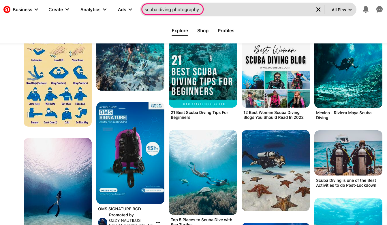 Marketing de fotografía submarina en Pinterest