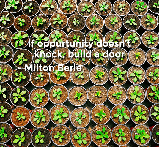 전자상거래 기업가 정신