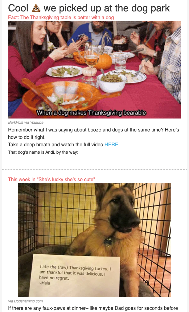 节日礼物电子邮件#3(Barkbox) Holiday Gifting Email #3 (Barkbox)