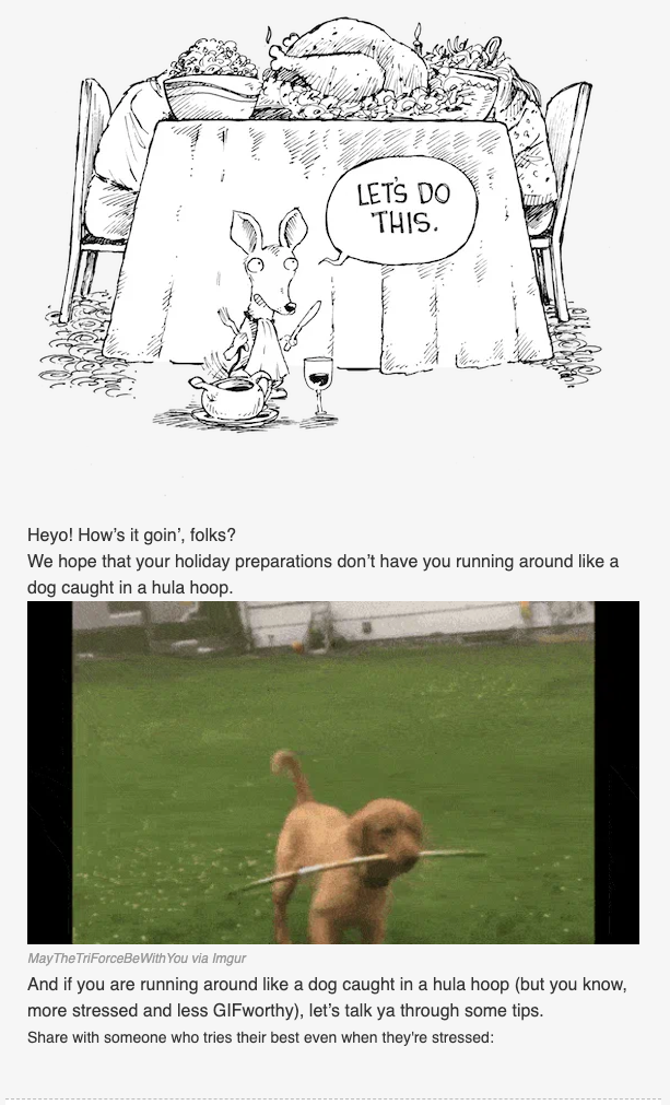 节日礼物电子邮件(Barkbox) Holiday Gifting Email (Barkbox)