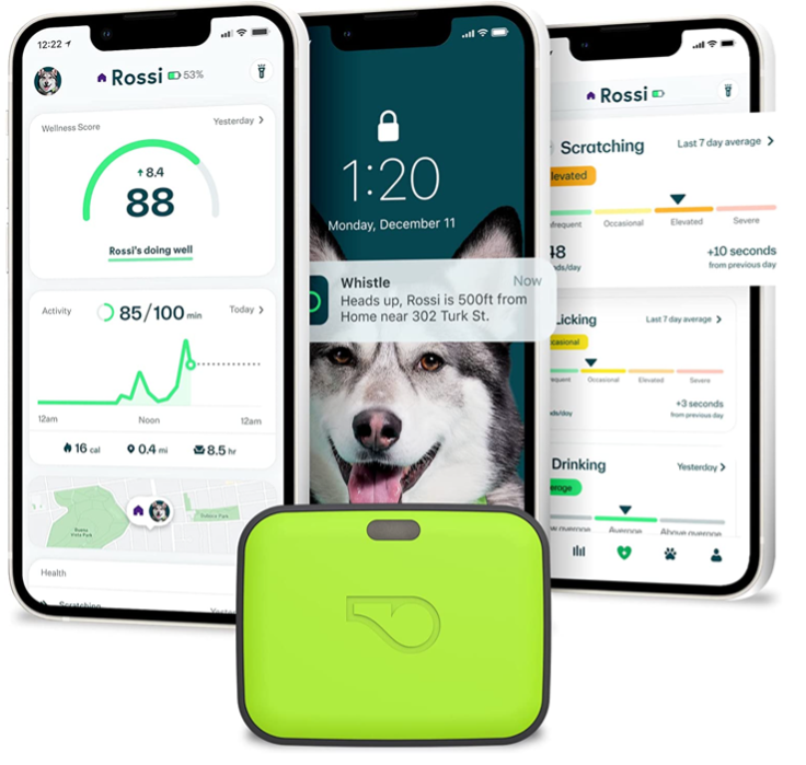 فكرة الإهداء B2B - صافرة GPS