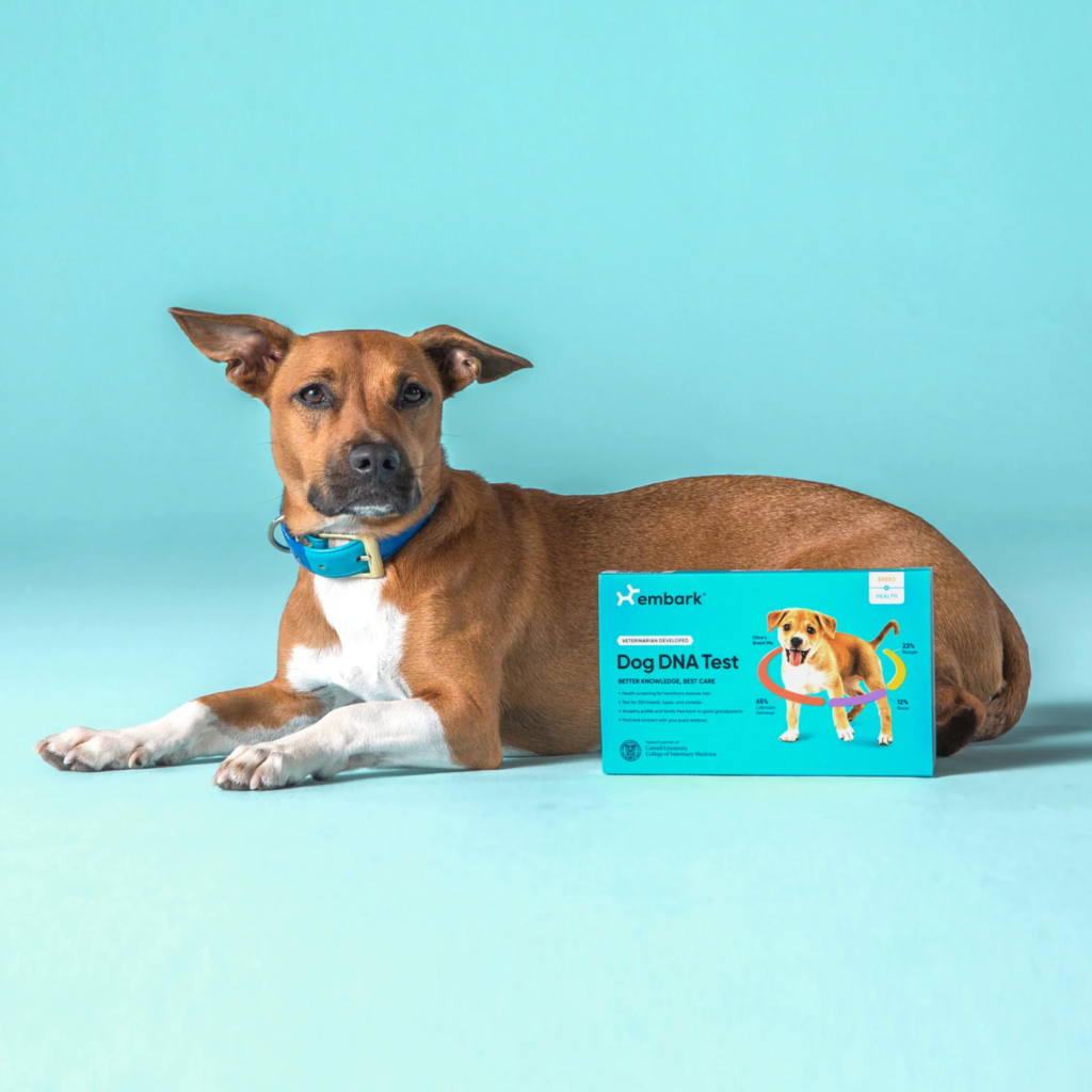 ابدأ اختبار الحمض النووي للكلاب لمحبي الكلاب