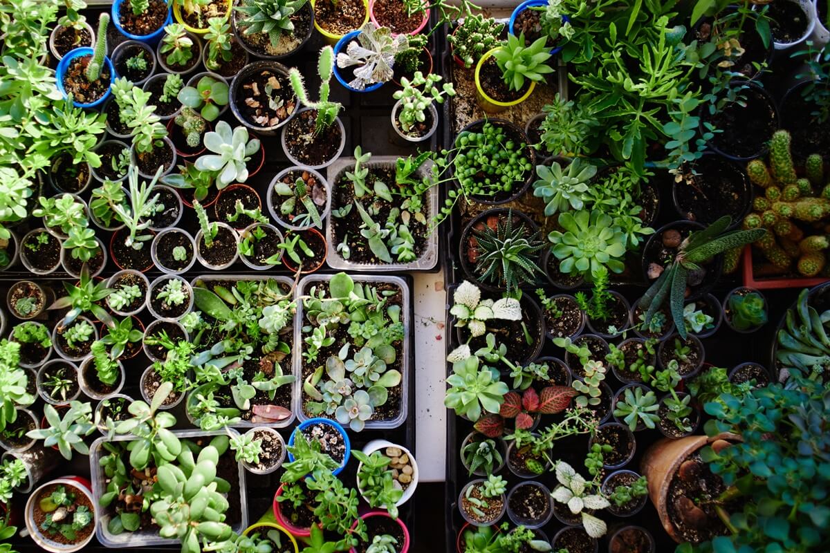 ธุรกิจสถานรับเลี้ยงเด็กหลังบ้าน