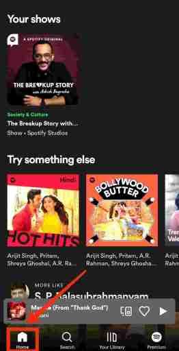 Klicken Sie auf die Home-Option, um Songs auf Spotify einzublenden