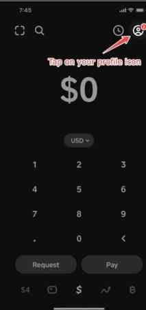 Cliquez sur l'icône de profil et accédez à l'option d'assistance pour supprimer le compte de l'application cash