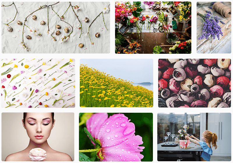 العناصر الأساسية للصور