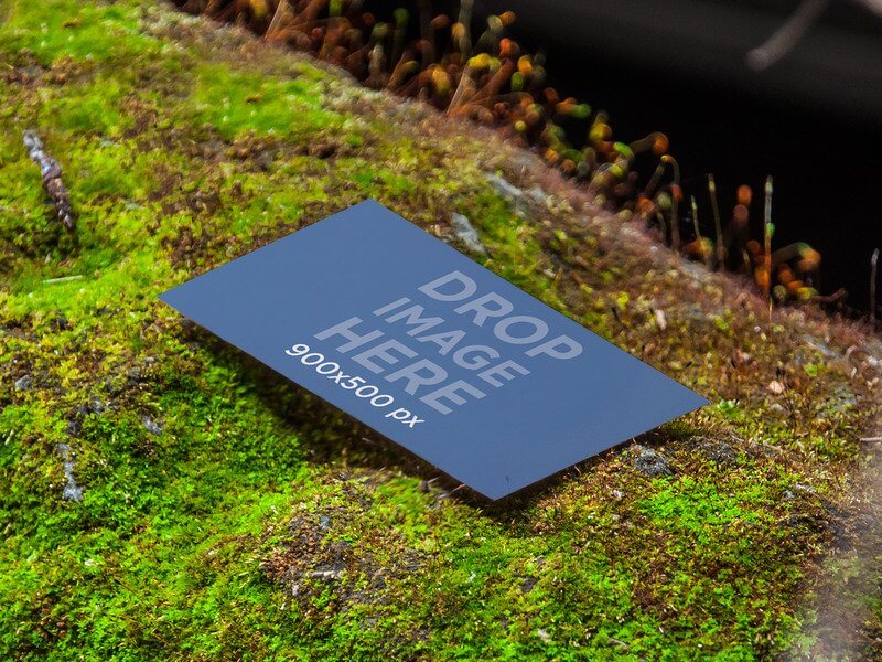 DRUCKDESIGN MOCKUP, VISITENKARTE AUF EINEM BETT AUS MOOS PRINT DESIGN MOCKUP, BUSINESS CARD LAYING ON A BED OF MOSS