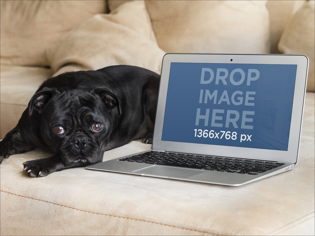 Mockup di Macbook Air accanto a un cane carino su un'immagine scenica del divano Placeit