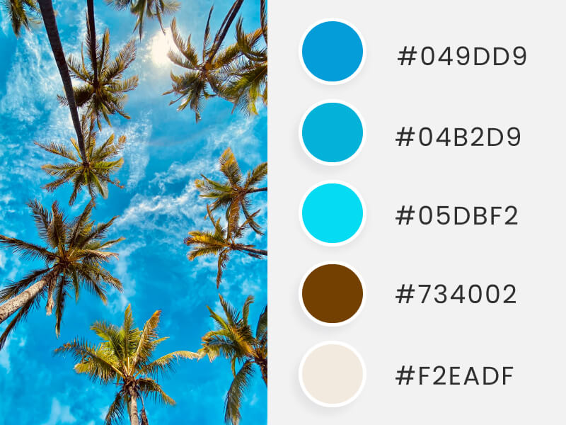 O paletă de culori de vară inspirată de un cer albastru cu palmieri verzi