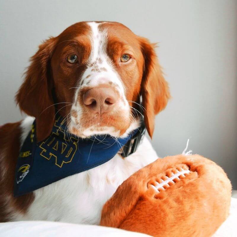 Gambar Diambil Dari Akun Resmi Facebook Printify 1