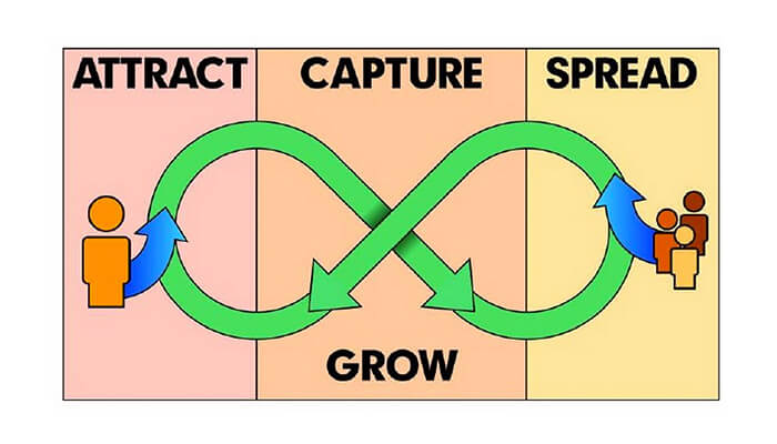 حلقة الفيروسية الصورة