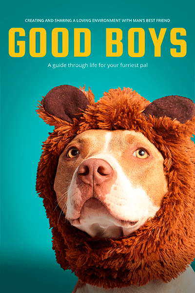 애견 케어 가이드 북 커버 메이커