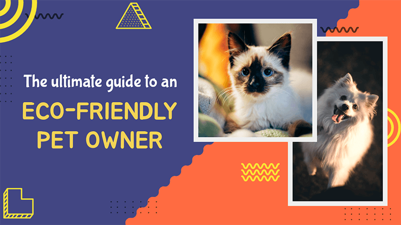 Youtube Banner Maker pour une chaîne pour les propriétaires d'animaux