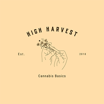 Créateur de logo de magasin de cannabis avec un dessin de contour minimaliste