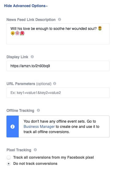 Facebook 廣告指南:高級選項
