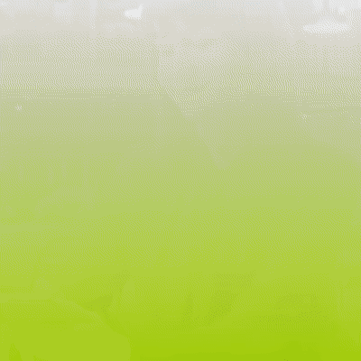 Instagram Video Maker для многоуровневого консультанта по маркетингу