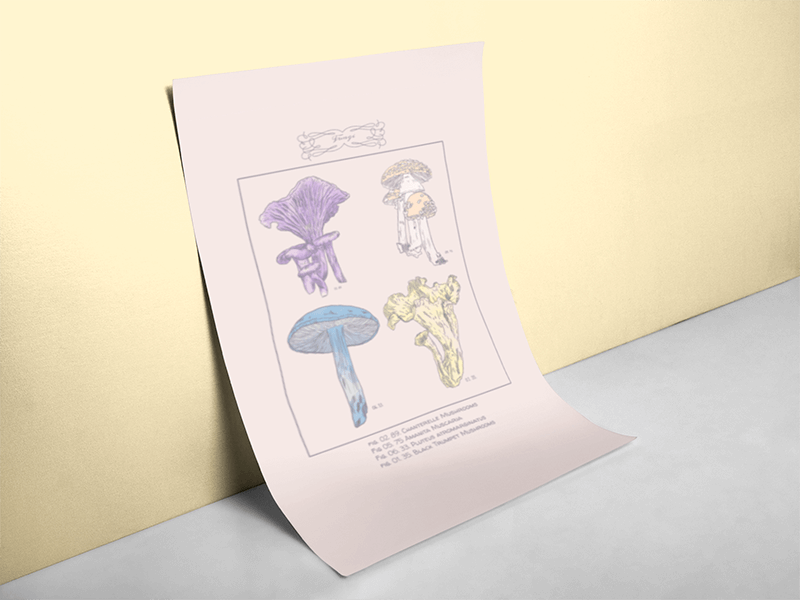 Stampe di alta qualità per migliorare i tuoi disegni