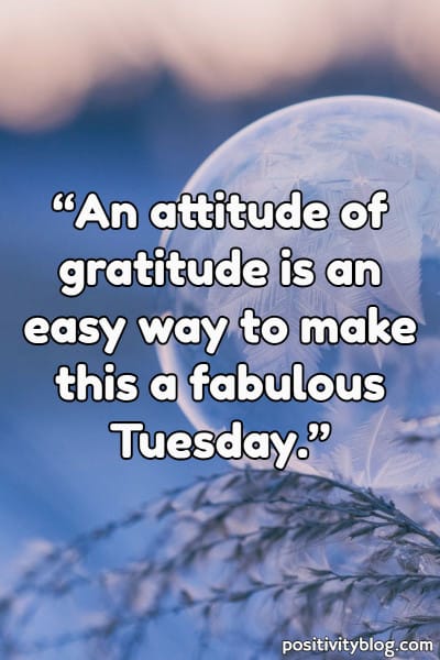 Błogosławieństwa wtorkowe 1