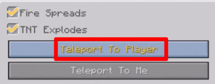 Fai clic sull'opzione teletrasporta al giocatore per teletrasportarsi in Minecraft