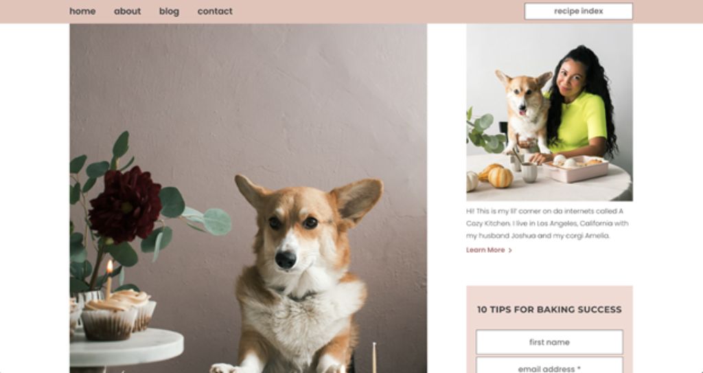 o bucătărie confortabilă despre Amelia the Corgi screenshot