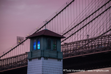 도메인 이름 워터마크가 있는 사진