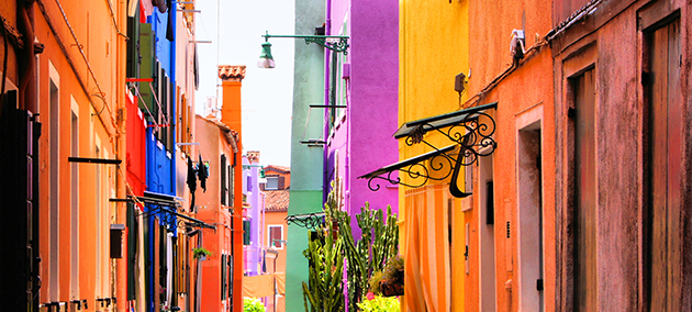 Immagini vivaci coinvolgono i lettori