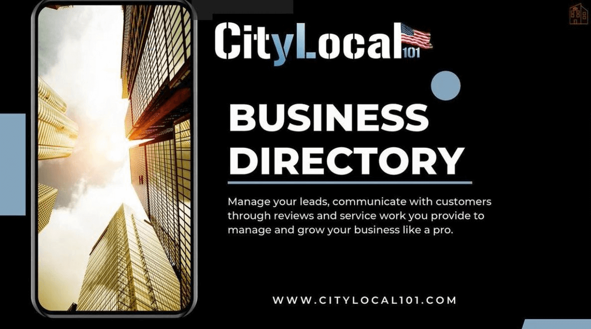 interfață citylocal101